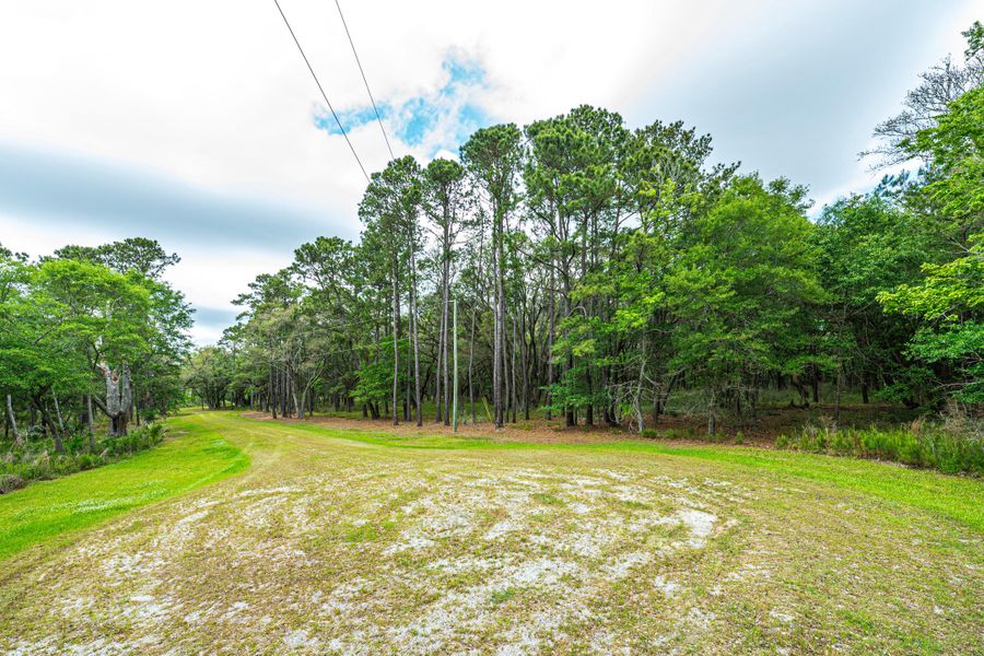 Natural landscape and outdoor views near  in Edisto Island (Image 28).