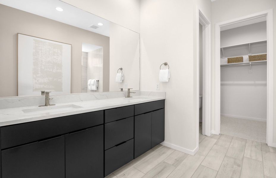 San Tan Valley New Homes San Tan Valley New Homes