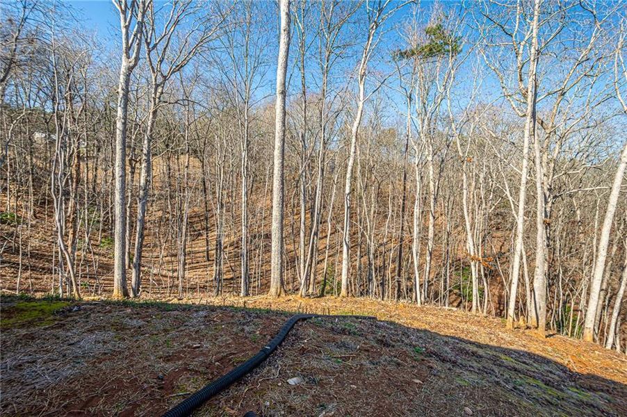 Natural landscape and outdoor views near  in Dahlonega (Image 45).