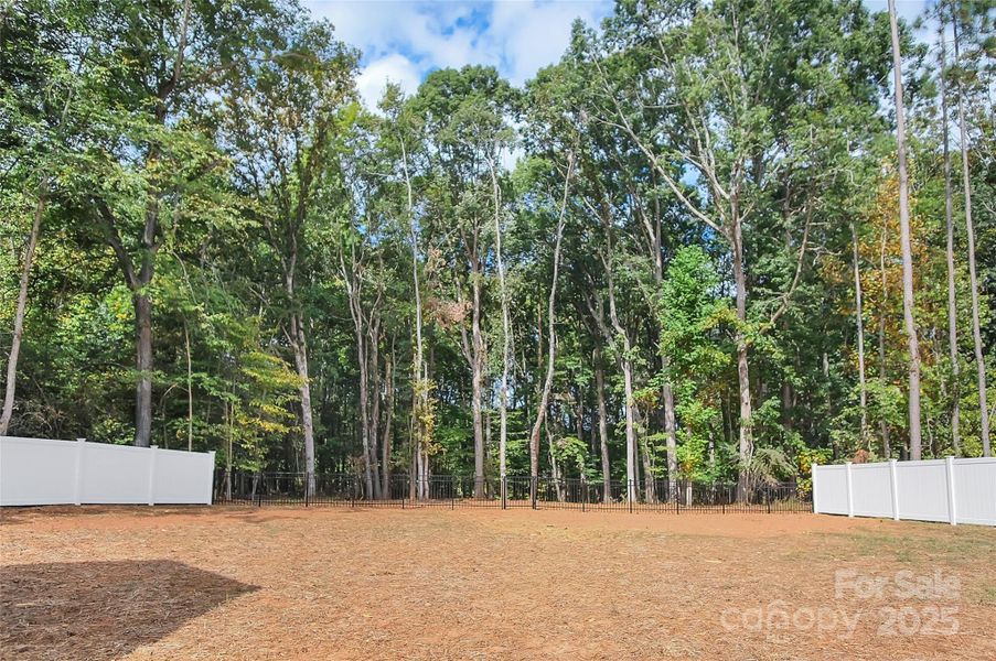 Natural landscape and outdoor views near  in Iron Station (Image 36).