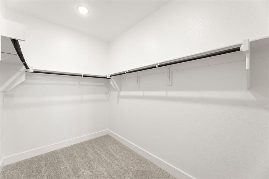 Discovery Collection at Painted Tree