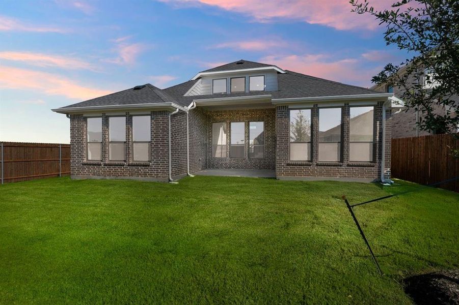 Representative - Backyard