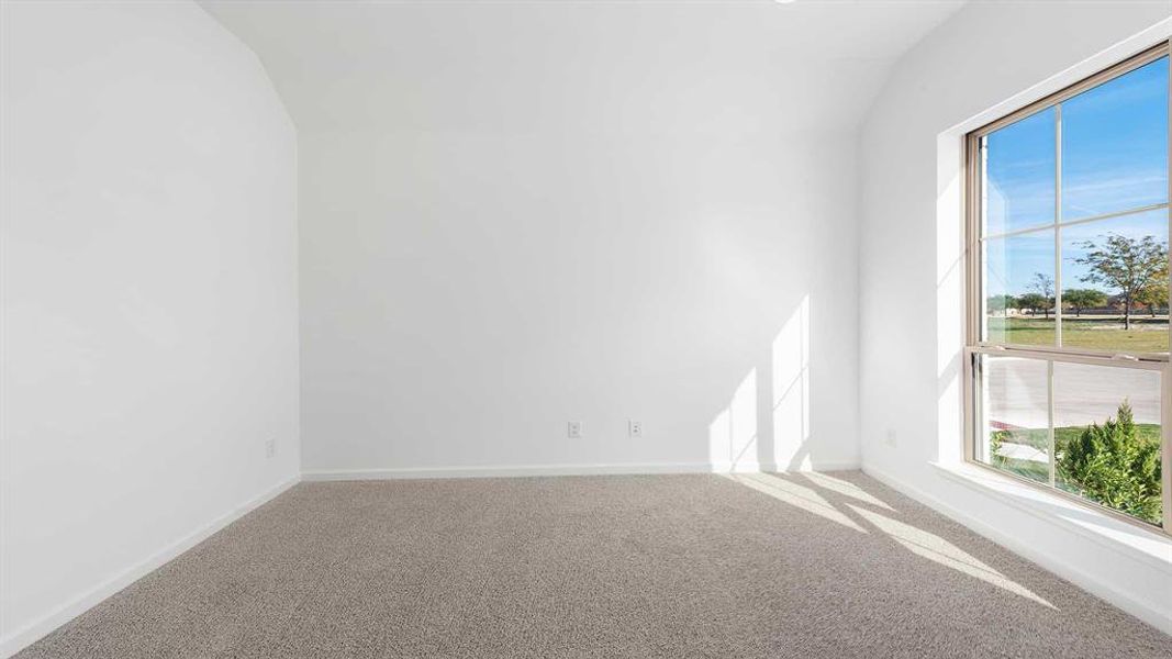 Carpeted spare room featuring lofted ceiling and a healthy amount of sunlight