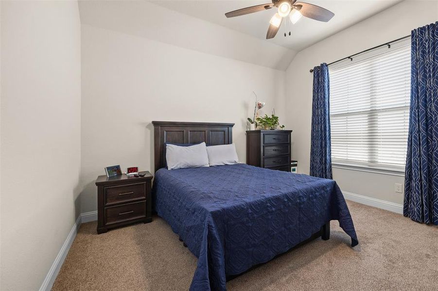 Carpeted bedroom featuring ceiling fan, multiple windows, and vaulted ceiling Carpeted bedroom featuring ceiling fan, multiple windows, and vaulted ceiling