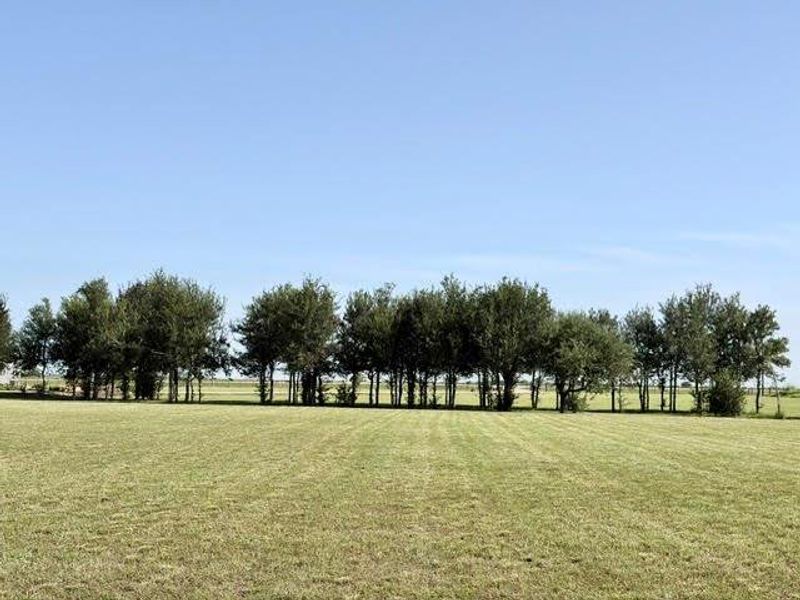 Natural landscape and outdoor views near  in El Campo (Image 43).