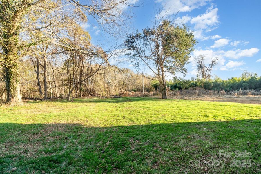 Natural landscape and outdoor views near  in Shelby (Image 24).