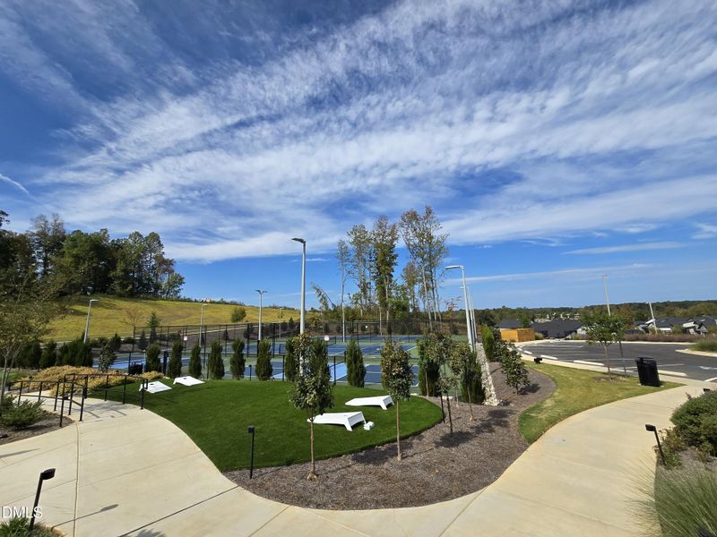 1000015343 1000015343