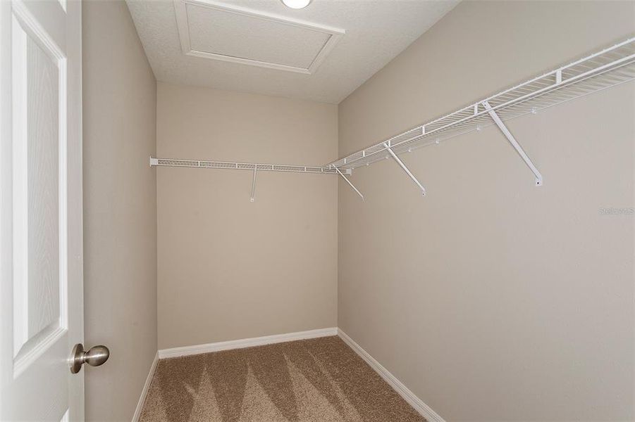Spacious, unfurnished interior of a new home in Two Rivers, Zephyrhills (Image 16).