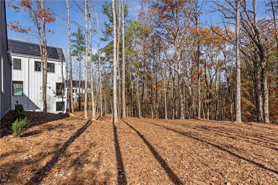 Natural landscape and outdoor views near Aster in Roswell (Image 48). Natural landscape and outdoor views near Aster in Roswell (Image 48).