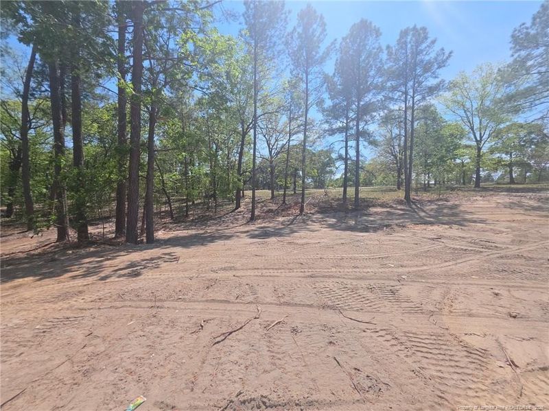 Stage as of April 12