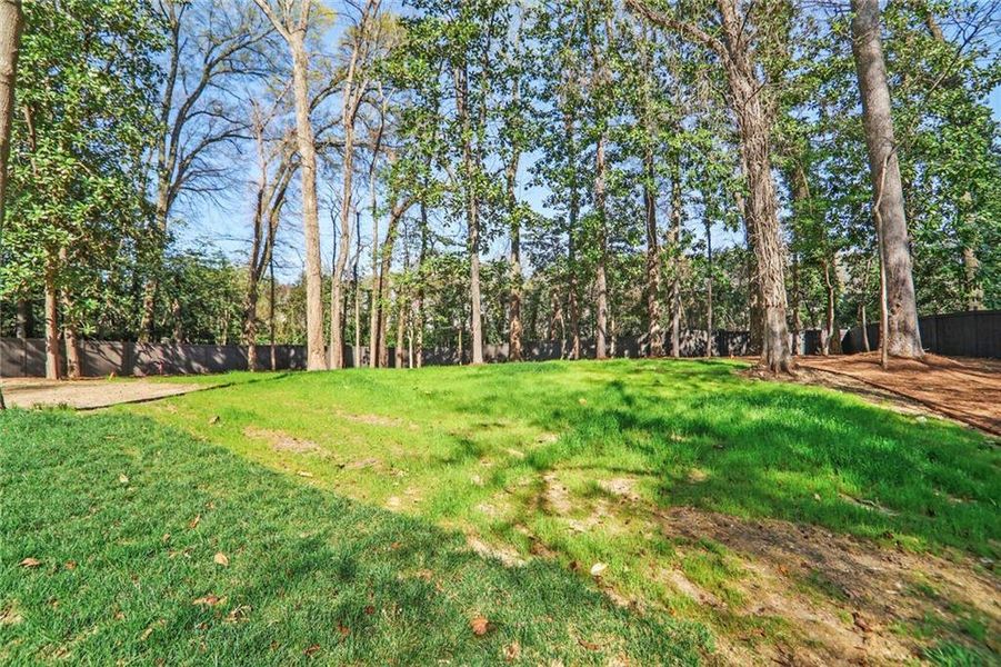 Natural landscape and outdoor views near  in Atlanta (Image 33).