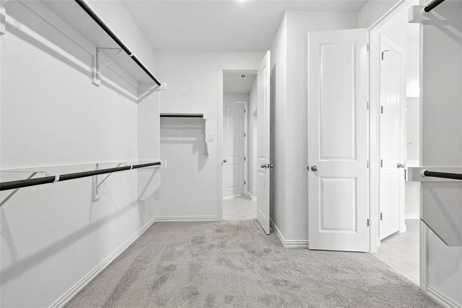 Spacious closet with light carpet Spacious closet with light carpet