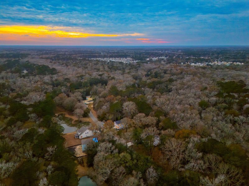 Natural landscape and outdoor views near Waterloo Estates in Johns Island (Image 84).