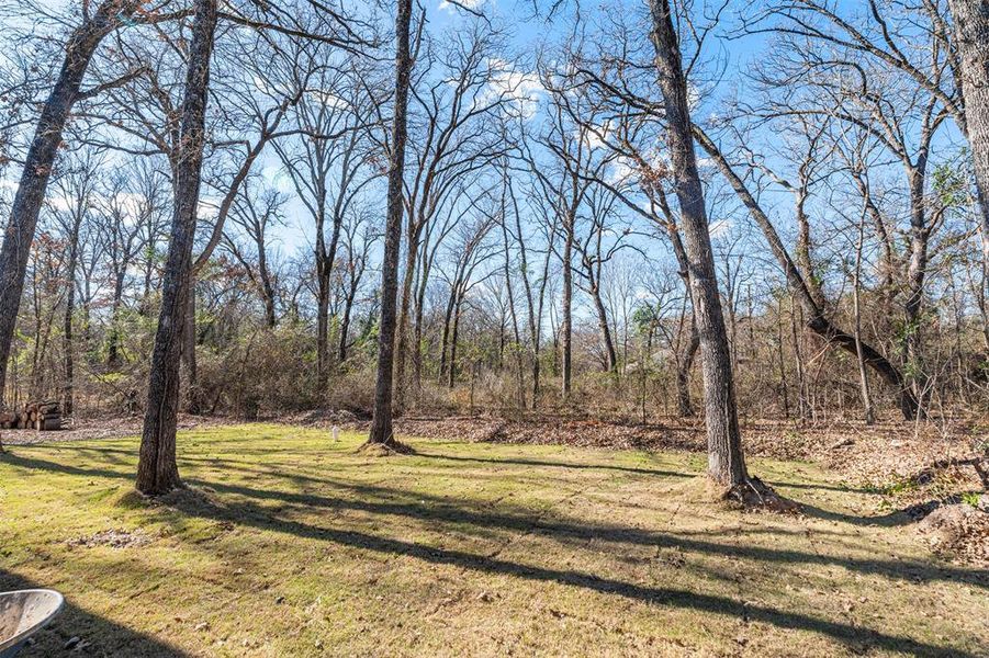 Natural landscape and outdoor views near  in Trinidad (Image 27).