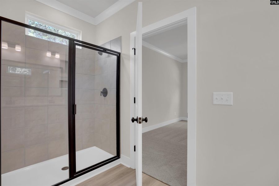 Furnished interior view inside a new home in Rolling Hills, Prosperity (Image 15).