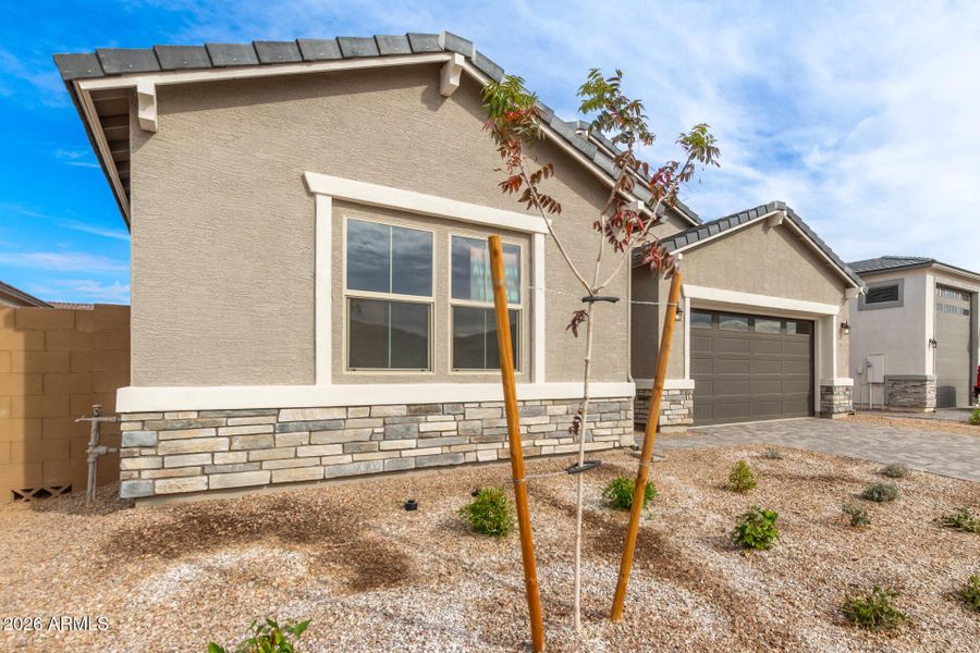 04 - Desert Hollow 15832