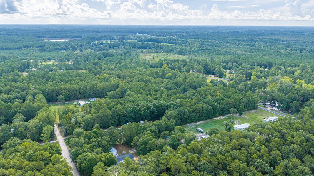 Natural landscape and outdoor views near  in Walterboro (Image 73).