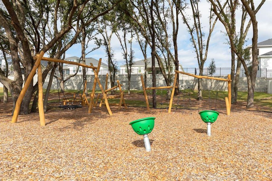 Community amenities in Wolf Lake Ranch, Apopka (Image 35).