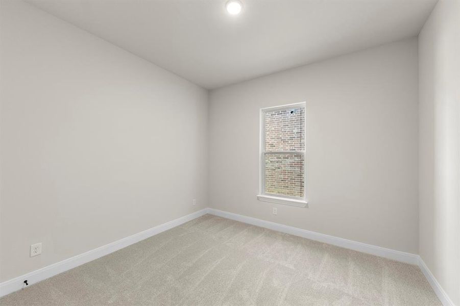 05. 637 Bunchberry - Bed 2