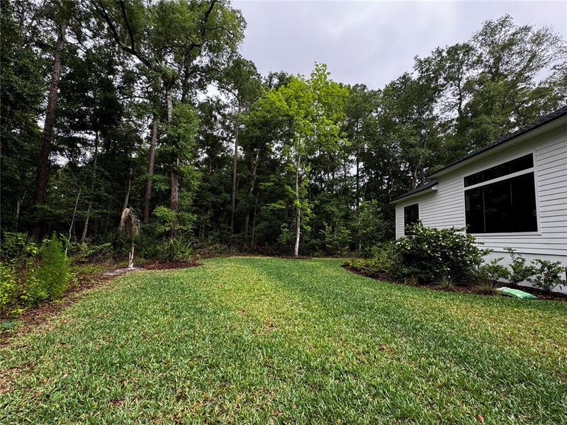 Natural landscape and outdoor views near  in Fernandina Beach (Image 52).