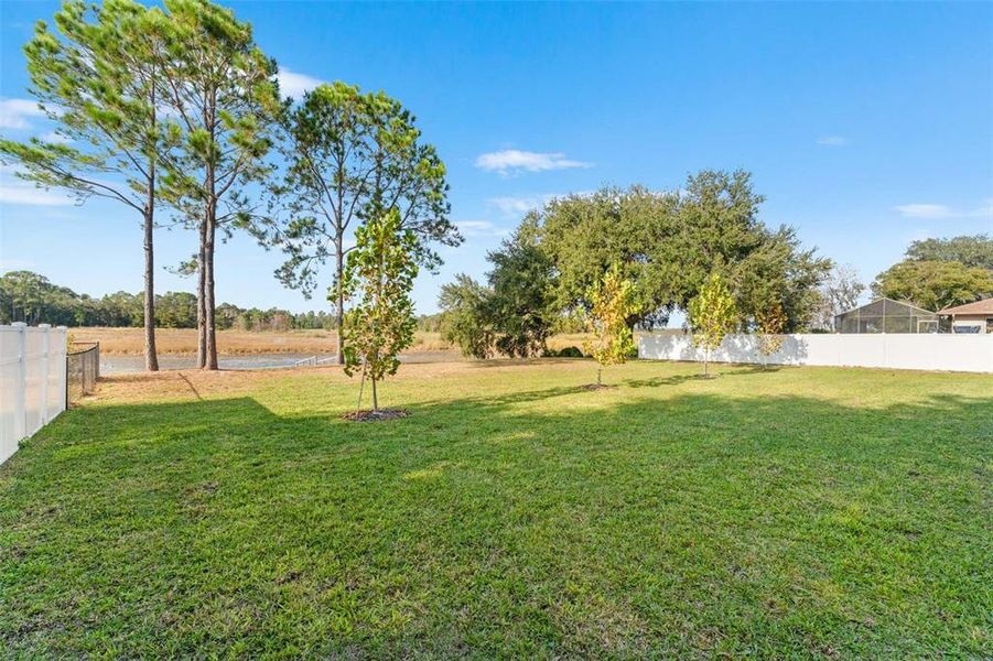 Natural landscape and outdoor views near  in Spring Hill (Image 40).