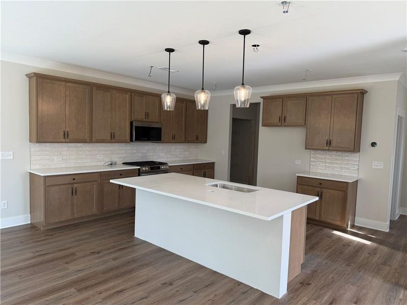 Furnished interior view inside a new home in Villas at Dawsonville, Dawsonville (Image 3).