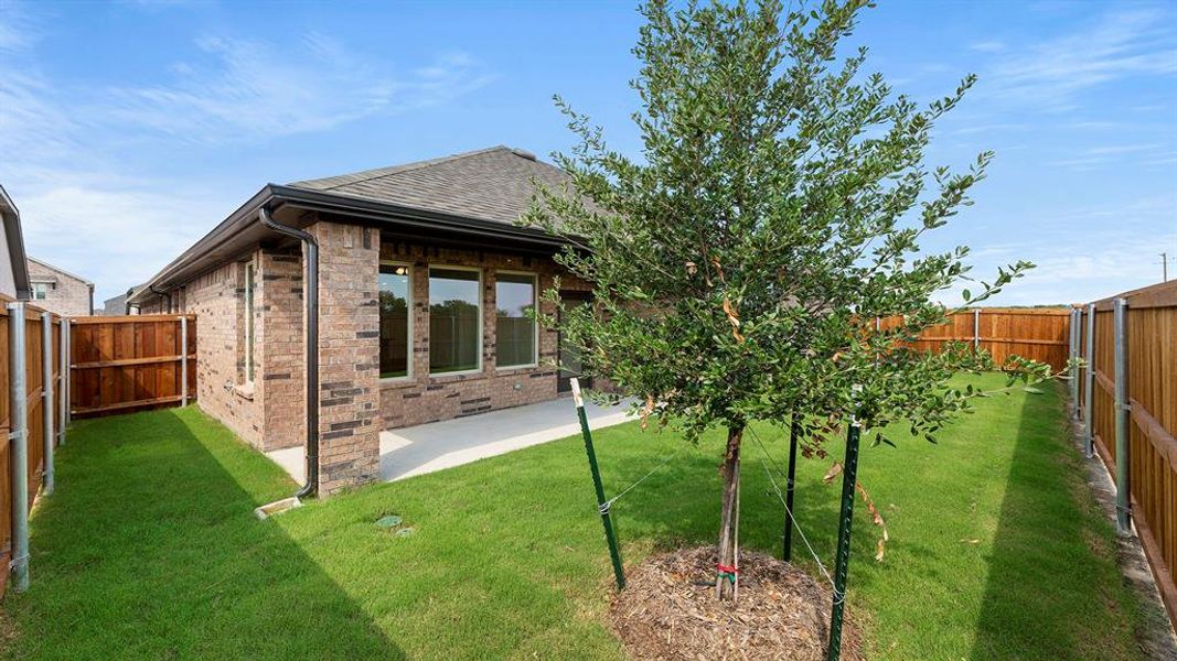 27. 1331 Burgess - Back (2) 27. 1331 Burgess - Back (2)