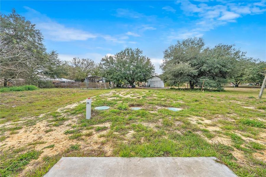 Natural landscape and outdoor views near  in Lake Wales (Image 31).