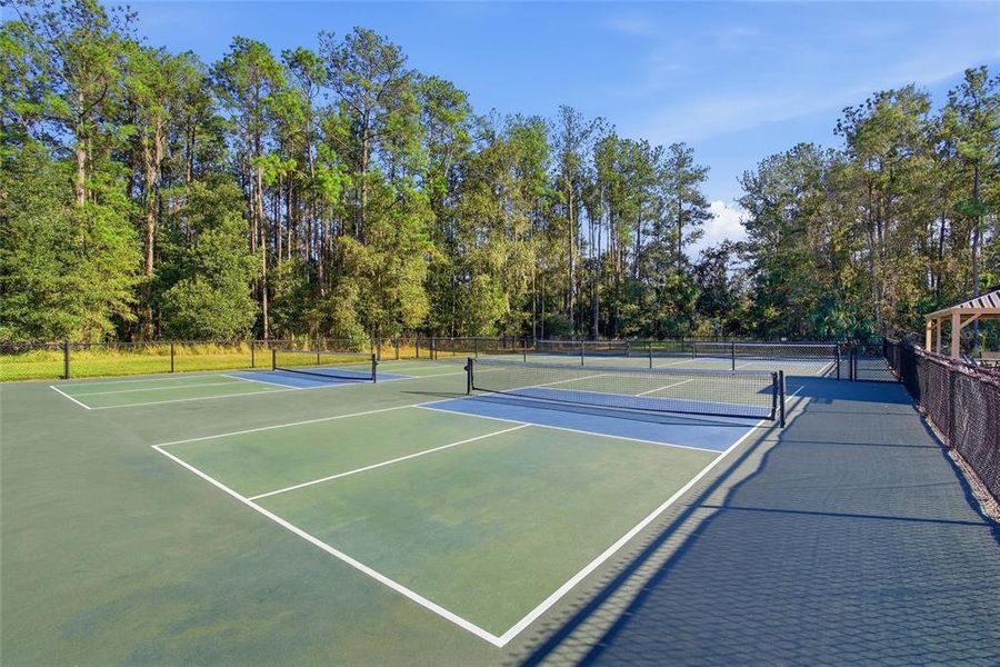 Community amenities in , Brooksville (Image 29).