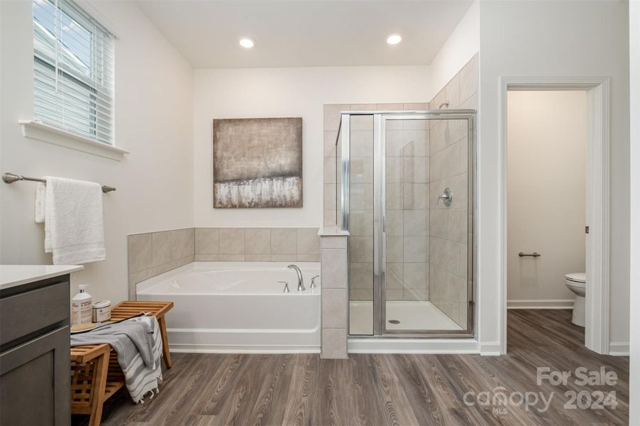 Garden tub and walk-in shower