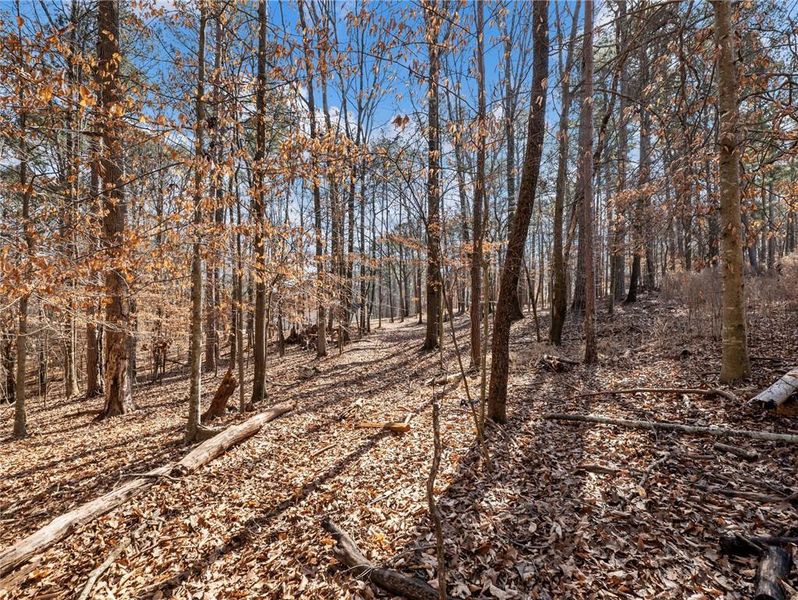 Natural landscape and outdoor views near  in Winder (Image 53).