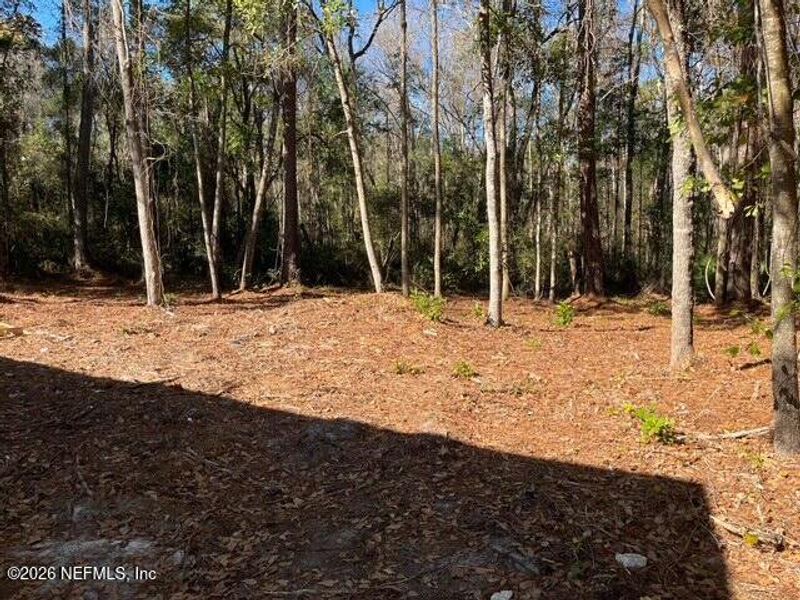 Natural landscape and outdoor views near  in Middleburg (Image 22).