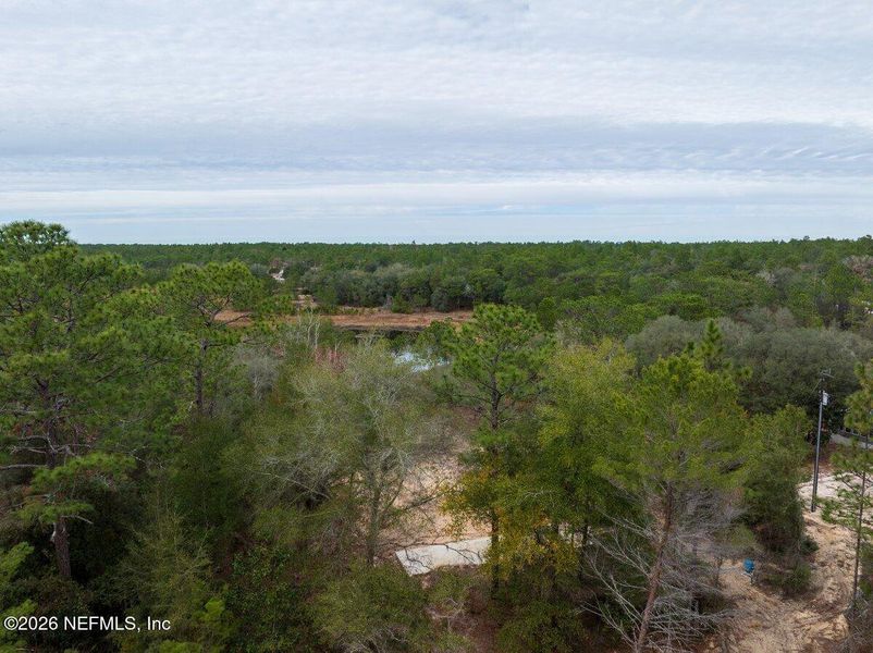 Natural landscape and outdoor views near  in Hawthorne (Image 30).
