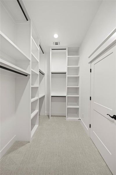 Spacious closet featuring light colored carpet