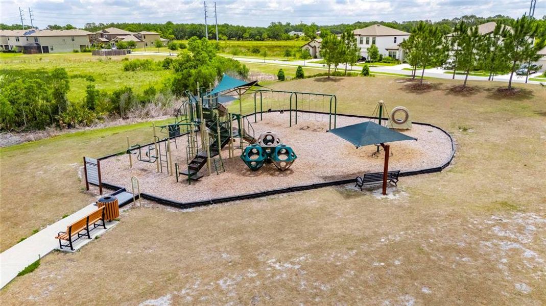 Community amenities in Hawkstone, Lithia (Image 54).