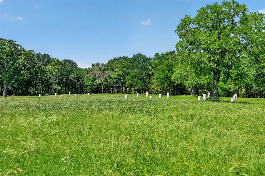 Natural landscape and outdoor views near  in Alvord (Image 33).