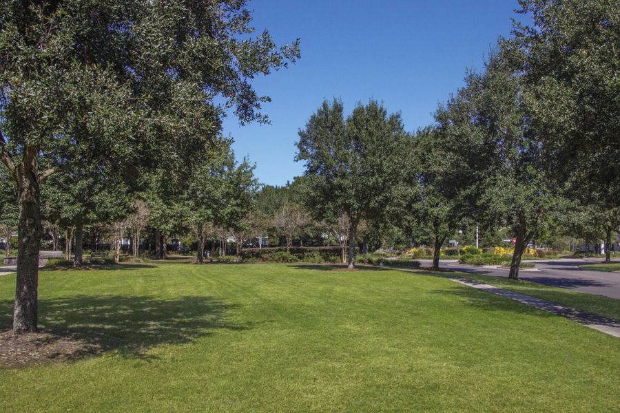 Natural landscape and outdoor views near Carnes Crossroads in Summerville (Image 21).