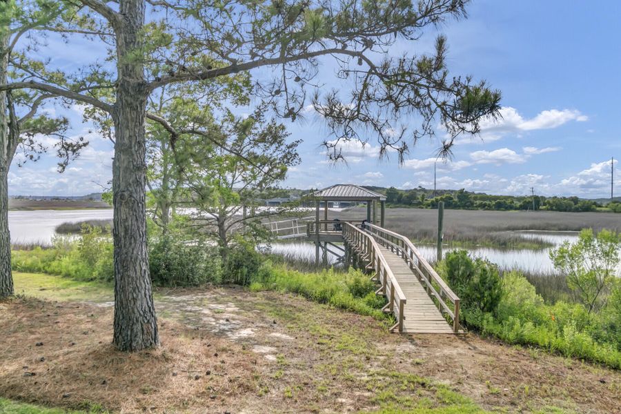 Natural landscape and outdoor views near  in Johns Island (Image 74).