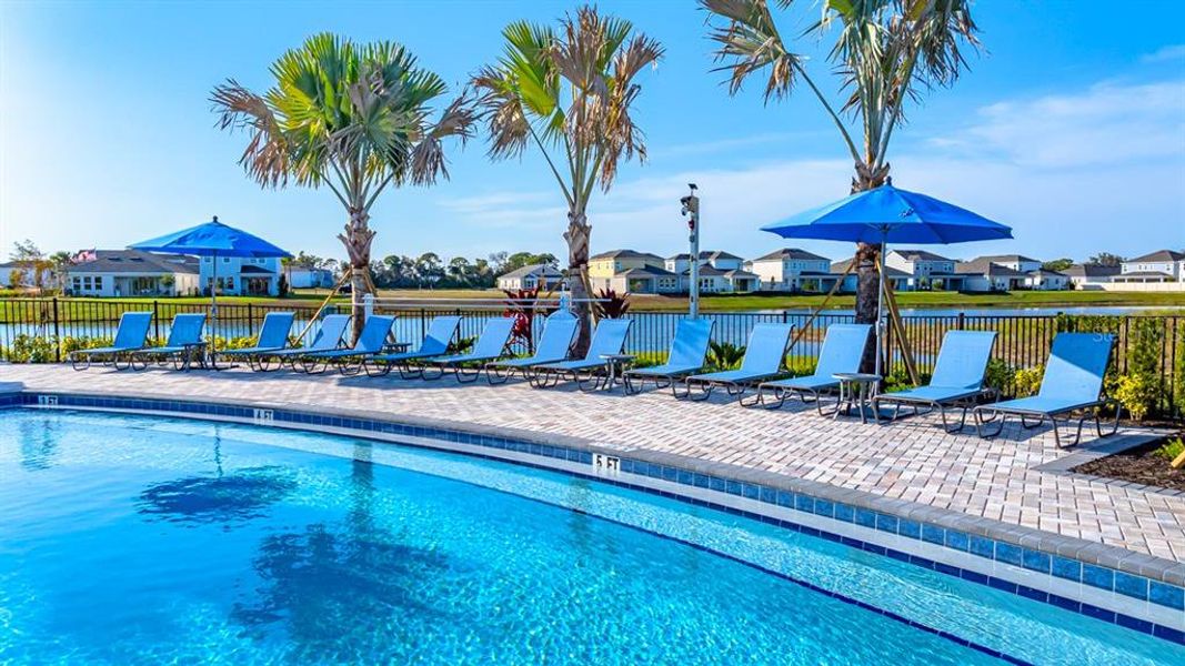 Community amenities in Indigo Creek, Apollo Beach (Image 59).