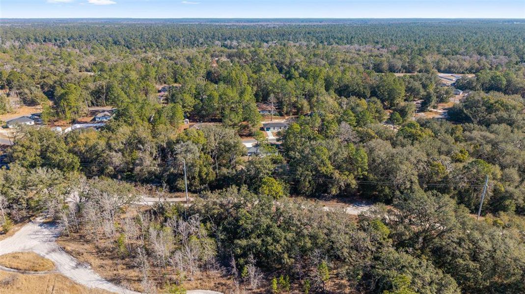 Natural landscape and outdoor views near  in Ocala (Image 46).