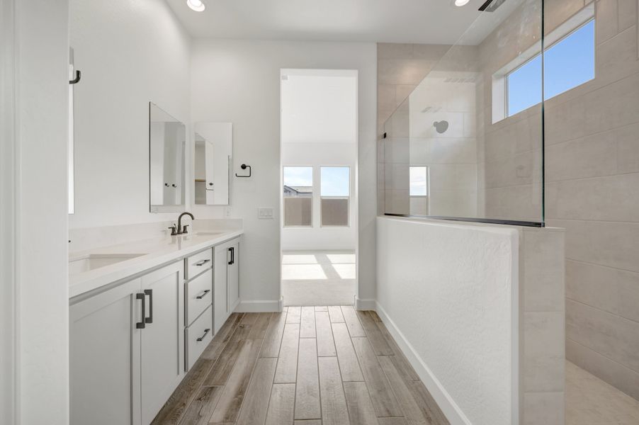 Owner's Bath