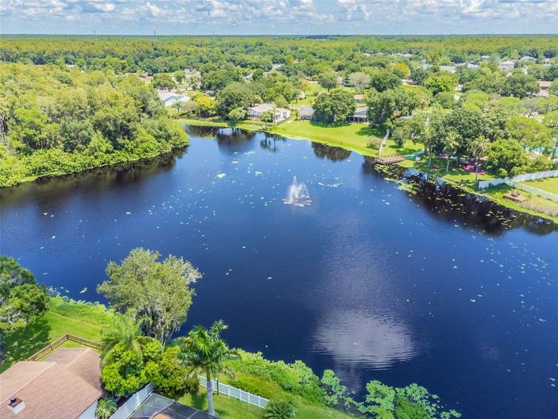 Natural landscape and outdoor views near in Oldsmar (Image 66). Natural landscape and outdoor views near in Oldsmar (Image 66).