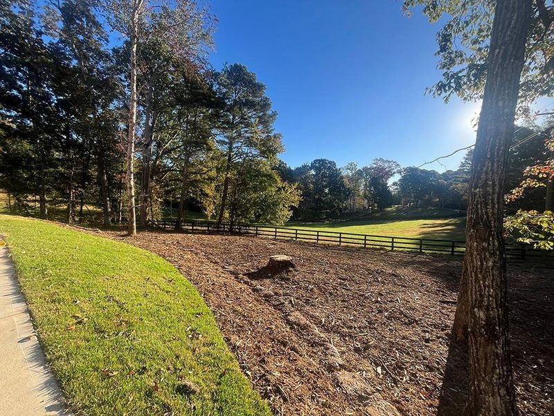 Natural landscape and outdoor views near  in White (Image 76).