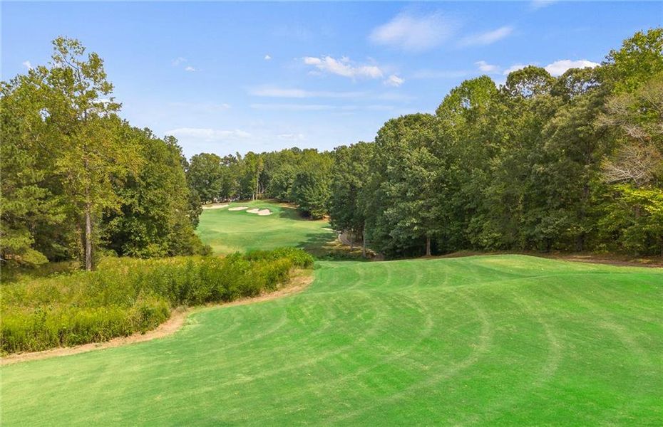 Natural landscape and outdoor views near Reunion in Flowery Branch (Image 58).