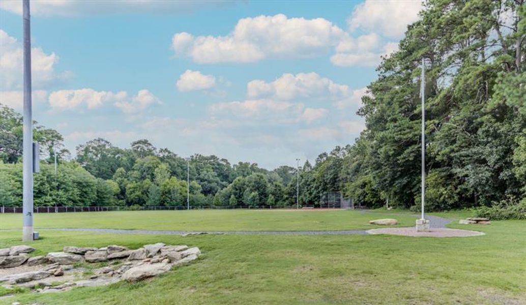 Natural landscape and outdoor views near  in Atlanta (Image 46).
