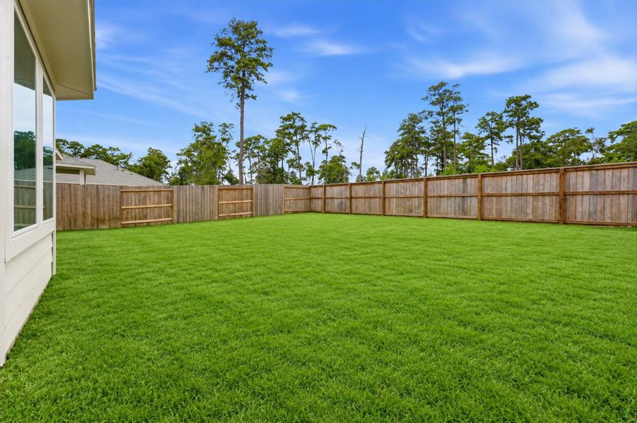 Spacious backyard & no back neighbors Spacious backyard & no back neighbors