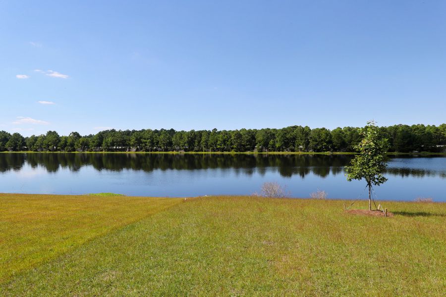 Natural landscape and outdoor views near Arcadia in Myrtle Beach (Image 46).