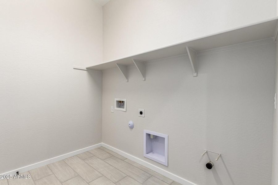 37-Hollyhock 37-Hollyhock