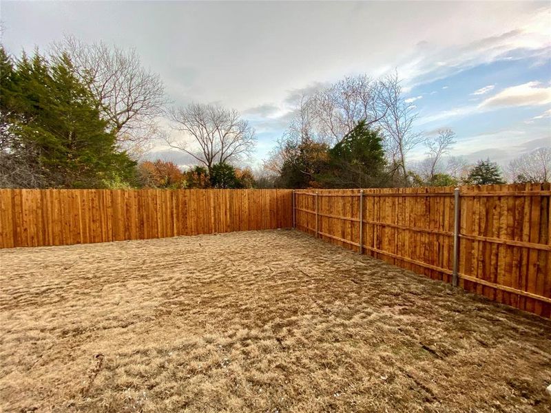 Thick trees behind back fence. Homeowner behind you has 10 acres so your yard is very private.