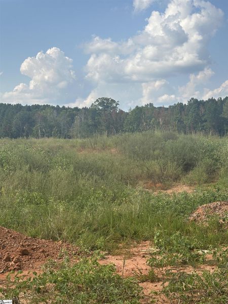 Natural landscape and outdoor views near Shiloh Trail in Wellford (Image 24).